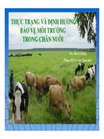 thực trạng và định hướng bảo vệ môi trường trong chăn nuôi