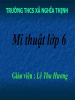 Mỹ thuật 6: Tiết 14