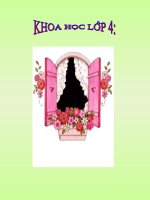 Phòng tránh đuối nước