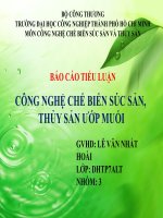 Tiểu luận công nghệ chế biến súc sản thủy sản  CÔNG NGHỆ CHẾ BIẾN SÚC SẢN THỦY SẢN ƯỚP MUỐI