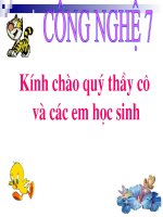 công nghệ 7: Bài 39: Chế biến và dự trữ thức ăn vật nuôi