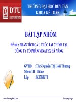 Bài tập nhóm-đề tài-Phân tích cấu trúc tài chính tại công ty cổ phần VINATEX Đà Nẵng