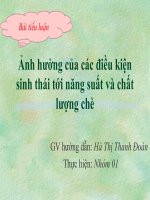 Ảnh hưởng của điều kiện sinh thái tới năng suất và chất lượng chè