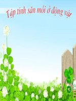 Tập tính kiếm ăn ở đọng vật