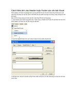 Cách thêm ảnh vào Header and Footer của văn bản Excel