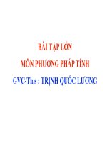 BÀI TẬP LỚN MÔN PHƯƠNG PHÁP TÍNH