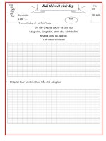 Mẫu bài thi viết chữ đẹp HS tiểu học