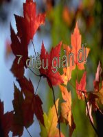 Mừng năm mới lời vàng 2