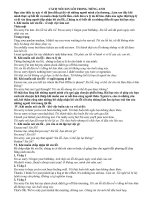 Cách nói xin lỗi