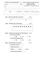 ĐỀ THI TOÁN, TV GIỮA HKII - LỚP 1