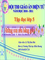 NHUNG CON SEU BANG GIAY - LOP 5