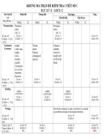 ma tran de tieng anh 12