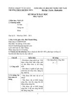 Kế hoạch dạy học học kì II Lí 8