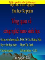 Phạm Thị Oanh-sinh học hiện đại-tổng quan về công nghẹ nano sinh học