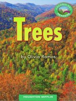 Trees by olivia ramos