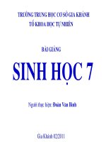 Tiet 49-Bai 48. da dang cua lop thu