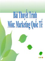 Môn Marketing Quốc tế