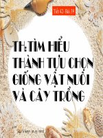 BÀI 39 THỰC HÀNH CHỌN GIỐNG VẬT NUÔI VÀ CÂY TRỒNG