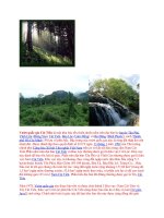 Sưu tầm vườn Nam Cát Tiên