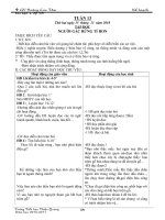 KE HOACH BAI HOC LOP 5B TUAN 13