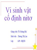 Bài tập Vi sinh vật cố định ni tơ