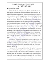 SKKN Ðịa 2011 -  cực chuẩn