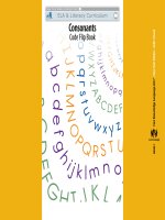 Consonants Code Flip Book