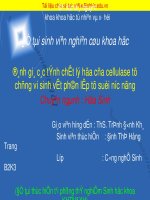 đánh giá các tính chất Lý-Hóa của cellulase từ chung vi sinh vật phân lập từ suối nước nóng