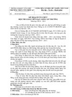 Kế hoạch tổ chức Hội thi GVDG cấp trường năm học 2010 - 2011