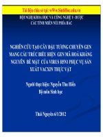 Nghiên cứu tạo cây đậu tương chuyển gen mang cấu trúc biểu hiện gen mã hóa kháng nguyên bề mặt của Virus H5N1 phục vụ sản xuất Vacxin thực vật