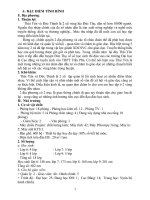 Kế hoạch năm học 2010-2011-THCS Bình Thịnh