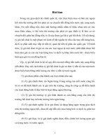 tiểu luận: Sức mua hàng hoá và dịch vụ giữa hai đồng tiền