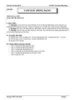 Giáo án tự chọn - Tam giác đồng dạng