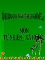 Tự nhiên xã hội lớp 2: Cây sống ở đâu