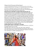 Những cách tránh lỗi trong giao tiếp bằng tiếng anh