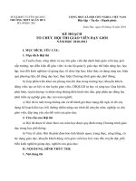 KẾ HOẠCH THI GV GIỎI