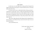 Phương pháp nghiên cứu và thực trạng phát triển dịch vụ thanh toán điện tử qua điện thoại di động tại nganluong.vn