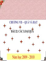 Quả hạt (có nhiều hình trái cây)