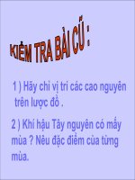 Cac dan toc tay nguyen