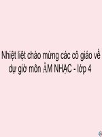Tân nhạc cụ