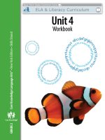 Unit 4 workbook