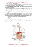 sinh học cơ thể động vật