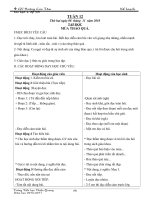 KE HOACH BAI HOC LOP 5B TUAN 12