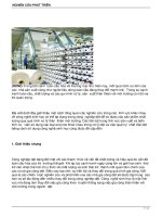 Công nghệ sinh học áp dụng trong công nghiệp dệt