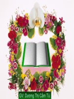 bai 15 BẢO VỆ DI SẢN VĂN HOA tiết 1