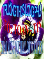 ÔN TẬP HKI, ĐẠI SỐ 8