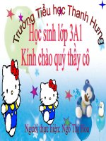 TĐ Hội đua voi ở Tây nguyên.