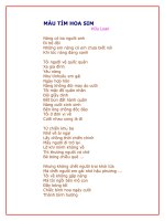 Bài thơ MÀU TÍM HOA SIM