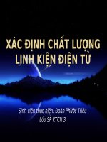xac dinh chat luong dien tu