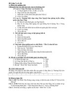 Kiểm tra Sử 7 tuần 9